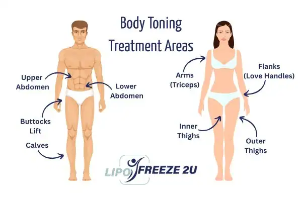 Graphic showing where you can have Body toning Treatment Merthyr Tydfil on your body